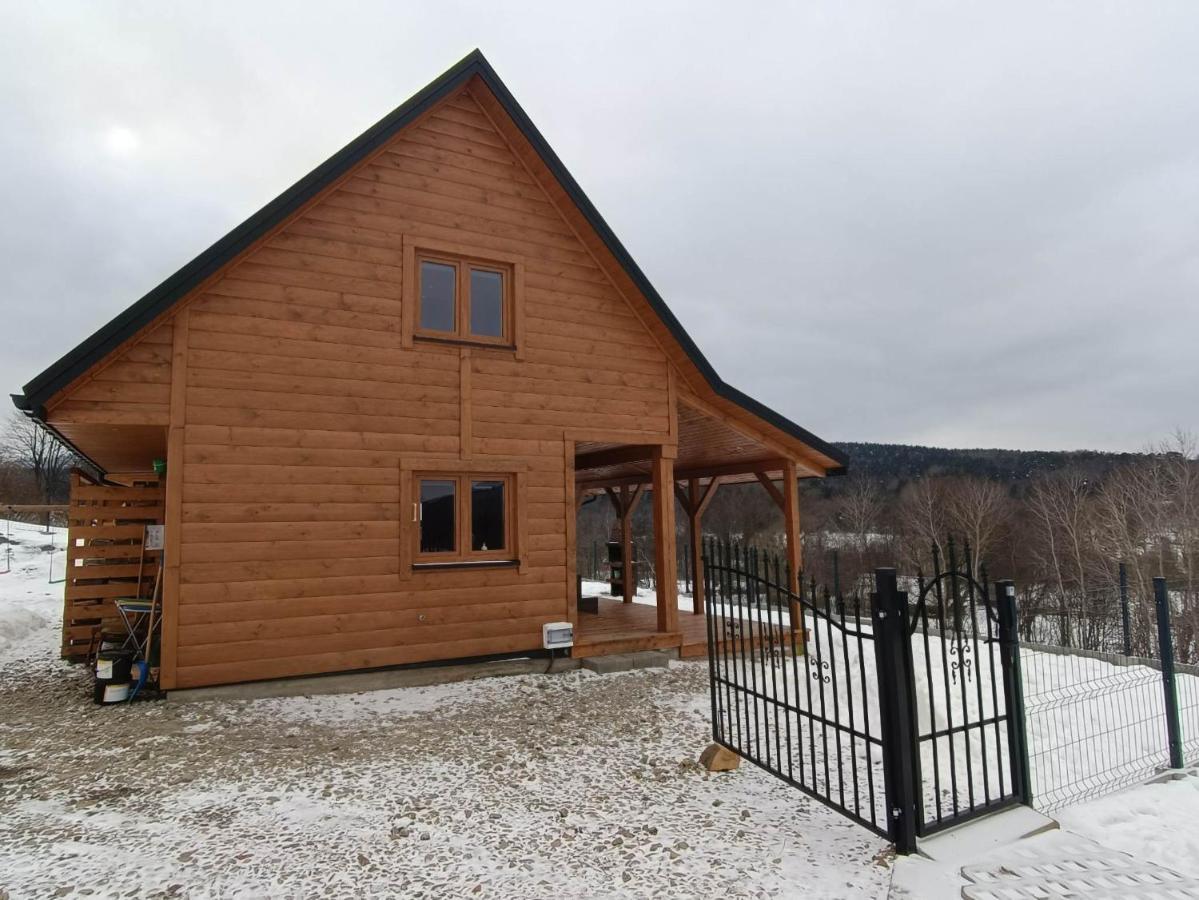 Villa W Swiatkowej Krempna